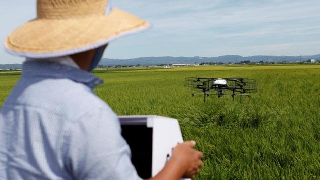 Nileworks Inc.'s automated drone flies over rice plants, spraying pesticide while diagnosing growth of individual rice stalks, during a demonstration in Tome, Miyagi prefecture Japan.