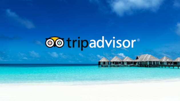 TripAdvisor is cutting hundreds of jobs, according to people familiar with the situation, underscoring the company’s need to reduce costs as competition from Google intensifies.