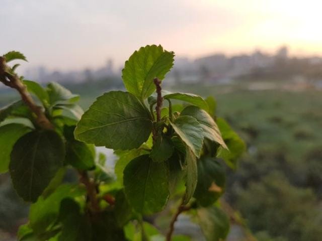 The Samsung Galaxy Note 8 impresses with its camera. The Samsung Galaxy Note 8 impresses with its camera.
