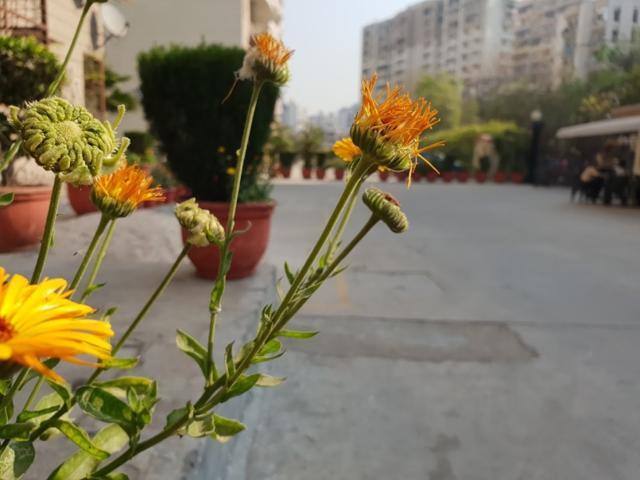 Taken from Samsung Galaxy S9 Plus. Taken from Samsung Galaxy S9 Plus.
