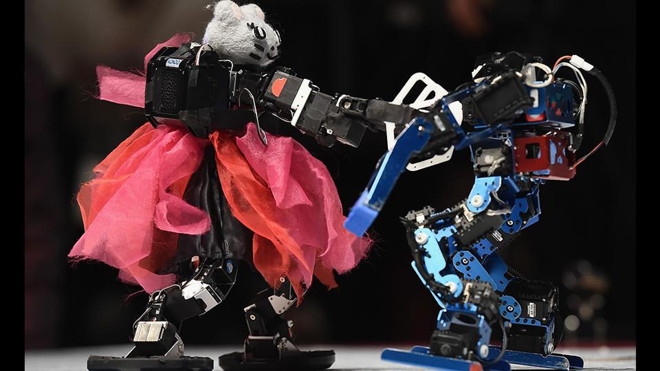 Photos: Mini-robots trade punches at the ROBO-ONE in HT Tech