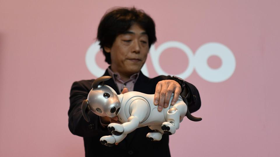 Aibo became available in Japan early this year, more than a decade after it culled earlier models from its product line.