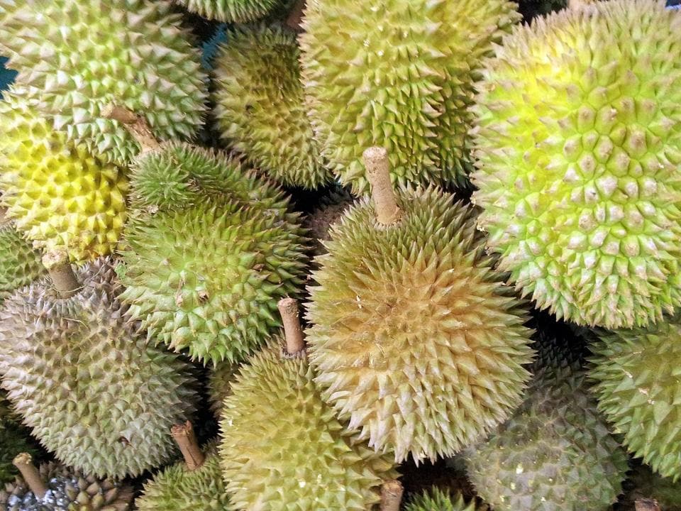 In the study, published in the Journal of Energy Storage, the research team explaind how they managed to turn the tropical fruits into super-capacitors.
