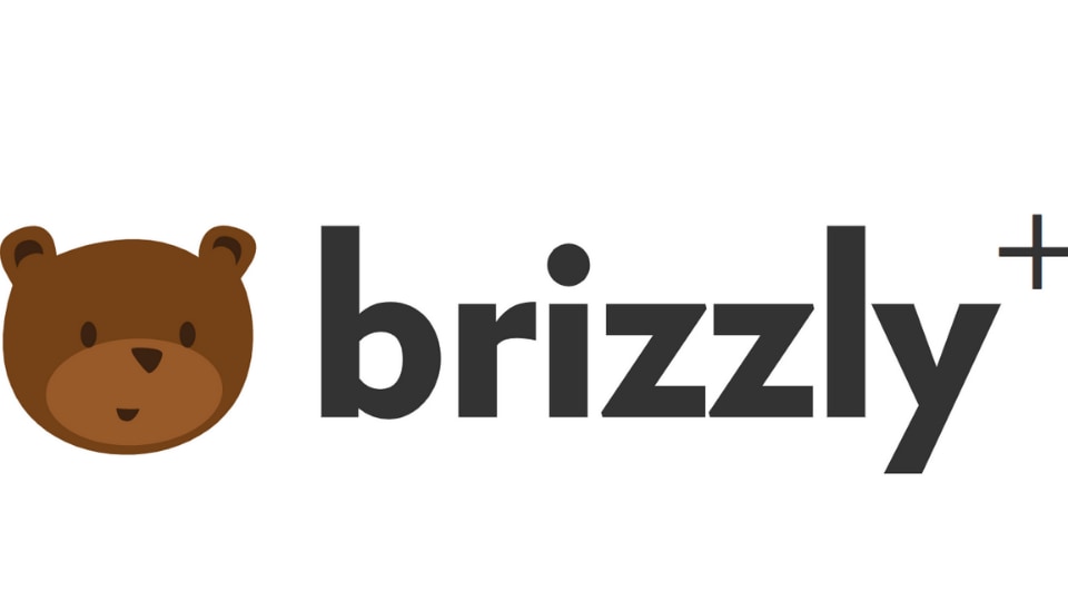 What Brizzly+ does is to offer you some functions that have been missing from Twitter – like undoing tweets to edit them, auto delete tweets, save favourite tweets (something Brizzly calls custom prompts).