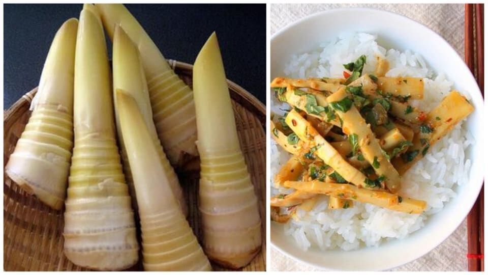 Bamboo Shoots వెదురు రెమ్మలను వండుకొని తినవచ్చు.. అద్భుతమైన పోషకాలు ఉంటాయి!bamboo shoots and