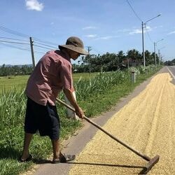 <p>Italy Drought</p>