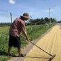 <p>Italy Drought</p>