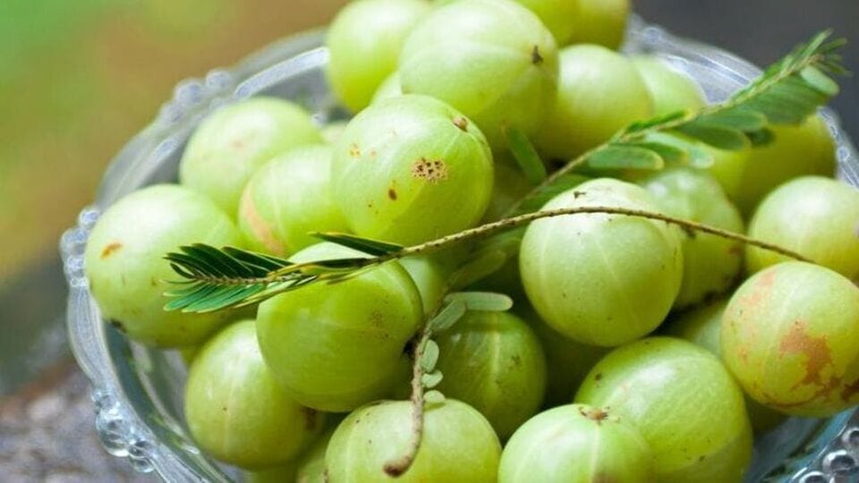 Amla