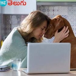 <p>Research suggests dogs can detect stress in humans</p>