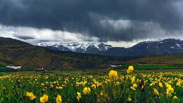 Peaceful Destinations in India, Valley of flowers, Uttarakhand 