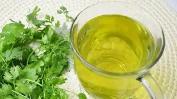 Coriander Leaves Tea