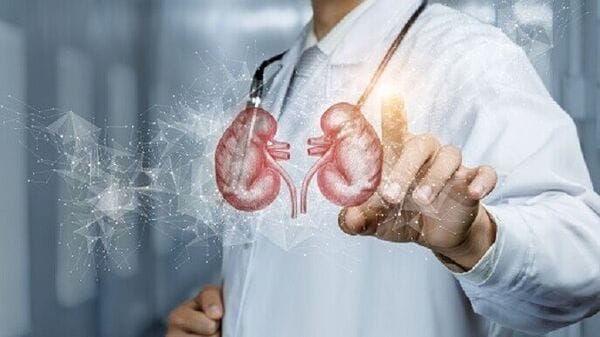 Kidney Failure Warning Signs: