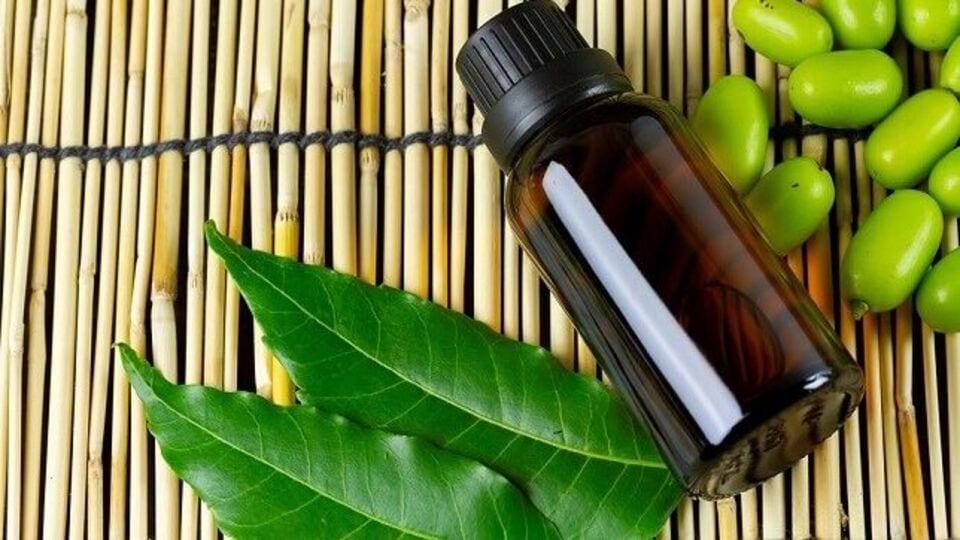 Neem Side Effects । వేపతో లాభాలే కాదు, ఈ నష్టాలు కూడా ఉన్నాయని మీకు తెలుసా?not only health