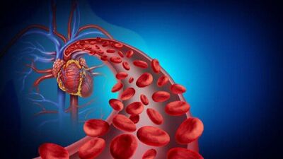 Improve Blood Circulation