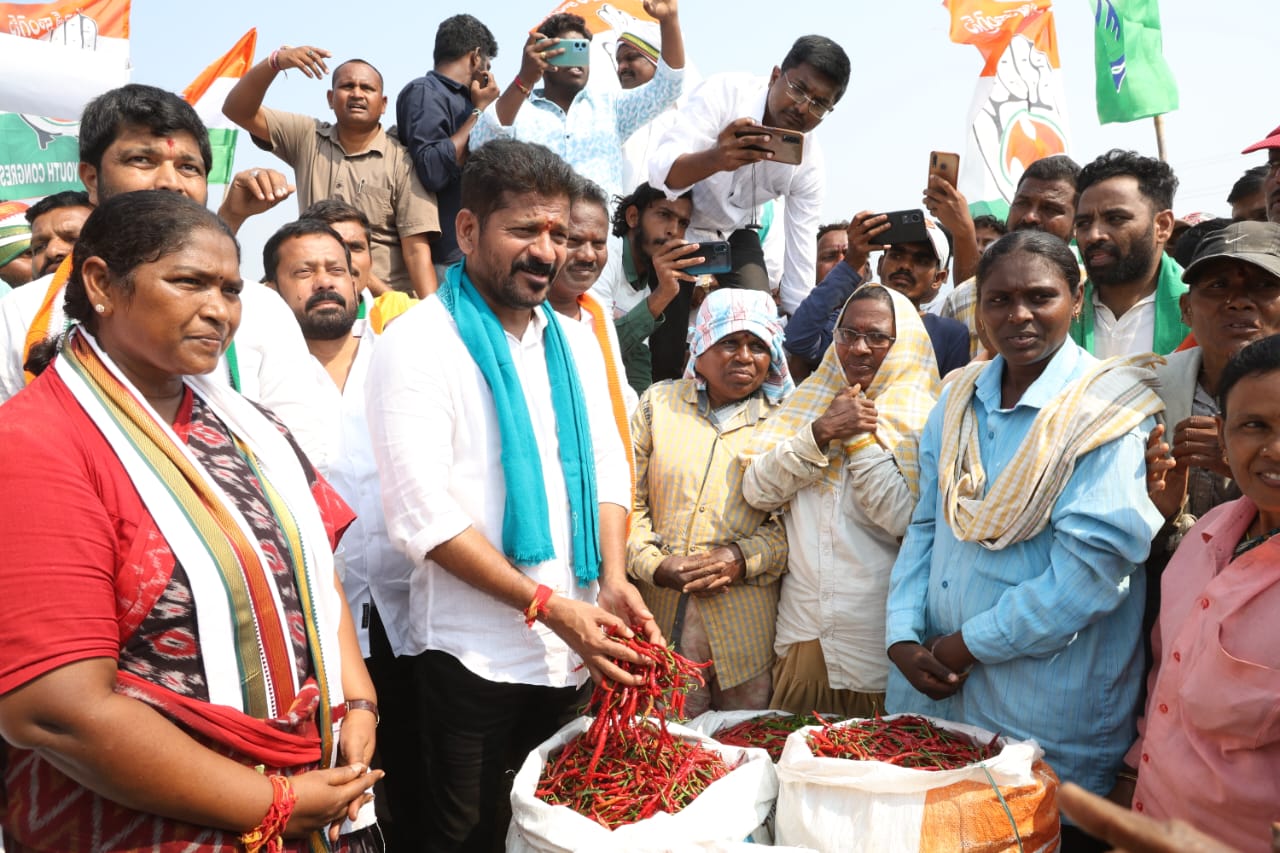 మిర్చి పంటను పరిశీలిస్తున్న రేవంత్ రెడ్డి, ఎమ్మెల్యే సీతక్క
