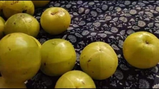 ఉసిరి, గుడుచి వంటి మూలికలు రక్తాన్ని శుద్ధి చేసి రక్త ప్రసరణను పెంచుతాయి.&nbsp;