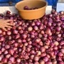 Centre Government on Onion: ‘ఉల్లి’పై ఆ వదంతులు కరెక్ట్ కాదు: కేంద్రం