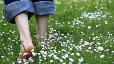 Earthing Techniques