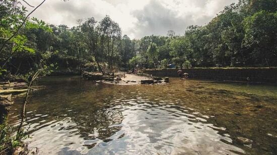 Thangbuli Sacred Grove, Manipur: మణిపూర్ లోని తంగబులై అటవీ ప్రాంతం. స్థానికులైన జెలియాంగ్రాంగ్ తెగ వారి పూజ్యనీయ ప్రదేశం ఇది. ఇక్కడ పెరిగే ఔషధ మొక్కలు స్థానికంగా చాలా ఫేమస్.