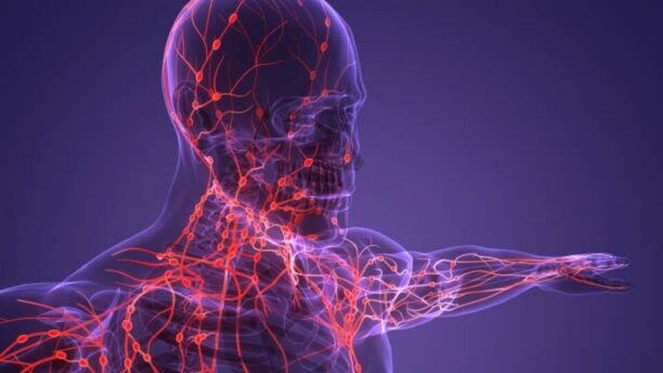 blood-circulation-foods
