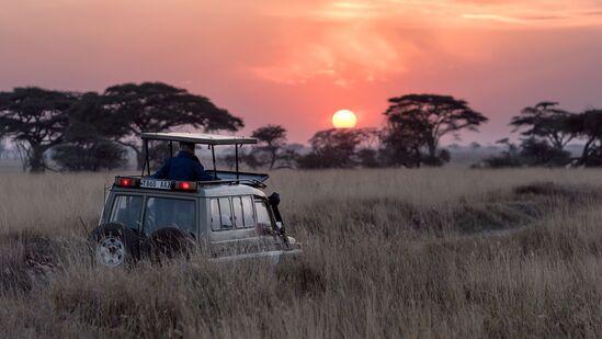 Wildlife Safari in Jim Corbett National Park: ఉత్తరాఖండ్ లోని జిమ్ కార్బెట్ నేషనల్ పార్క్ లో వైల్డ్ లైఫ్ సఫారీ జీవితంలో ఒక్కసారైనా చేయాల్సిన అడ్వెంచర్. ముఖ్యంగా అడవి అందాలను ఆస్వాదించేవారు కచ్చితంగా చేయాల్సిన టూర్.&nbsp;