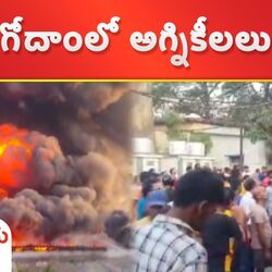 fire breaks