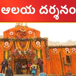 Doors of Badrinath Dham opened