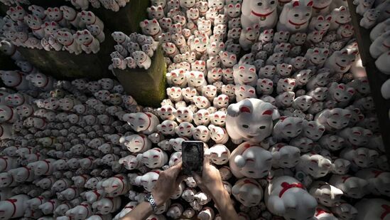 Cat Temple, Japan: జాపాన్ &nbsp;రాజధాని టోక్యోలోనే ఈ పిల్లులను పూజించే ఆలయం ఉంది. ఇది నిజానికి బౌద్ధ ఆలయం కానీ పిల్లులకు అంకితం కాబడిన గుడి. ఈ గుడిని దర్శించిన వారికి శుభం కలుగుతుందని స్థానికుల నమ్మకం.