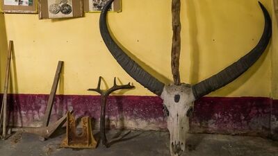 Black Magic and Witchcraft Museum, Mayong: అస్సాంలో మయంగ్ అనే ఒక చిన్న గ్రామంలో ఈ మ్యూజియం కొలువై ఉంది. మంత్రాలు, తంత్రాలు, చేతబడి.. వంటి వాటికి సంబంధించిన వస్తువులు ఇందులో ఉన్నాయి.