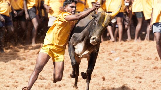 ప్రతీకాత్మక చిత్రం