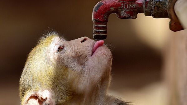 Ap Weather Updates: ఓ వైపు మండుతున్న ఎండలు, మరో వైపు వానలు..ఏపీలో చిత్రమైన వాతావరణం