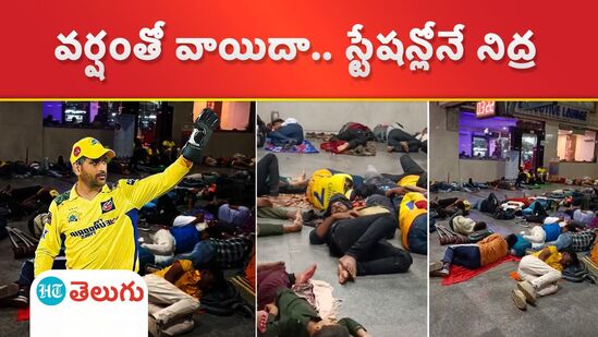 csk ms dhoni fans