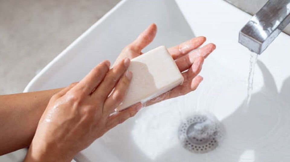 Soap Attracts Mosquitoes । మీకు దోమలు ఎక్కువ కుడుతున్నాయా? మీరు వాడే