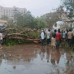 <p>&nbsp;గుజరాత్​లోని సౌరాష్ట్ర- కచ్​ ప్రాంతంలో బిపర్జాయ్​ తుపాను విధ్వంసం సృష్టించింది. అయితే తుపాను ధాటికి ఎవరు ప్రాణాలు కోల్పోలేదని అధికారులు చెబుతున్నారు.</p>