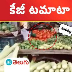 Tomatoes prices