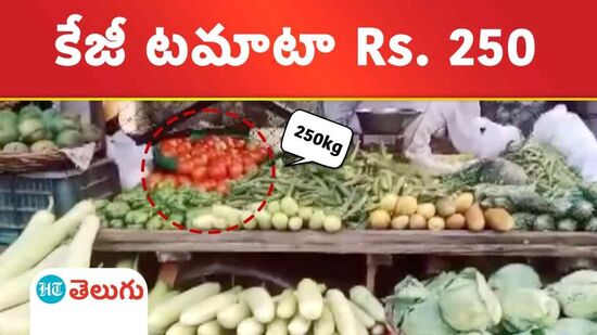 Tomatoes prices