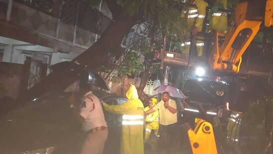 వర్షాల దాటికి నగరంలో చాలా చోట్ల చెట్లు నెలకొరిగాయి. సమాచారం అందుకున్న జీహెచ్ఎంసీ, ట్రాఫిక్ విభాగం అక్కడికి చేరుకొని వాటిని తొలగించారు.