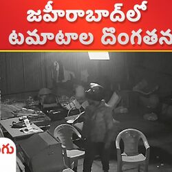               టమాటాల దొంగతనం
