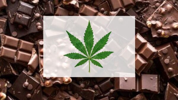 Ongole Medical Students: గంజాయి మత్తులో వైద్య విద్యార్థుల వీరంగం…ఒంగోలు మెడికల్ కాలేజీలో ఘటన