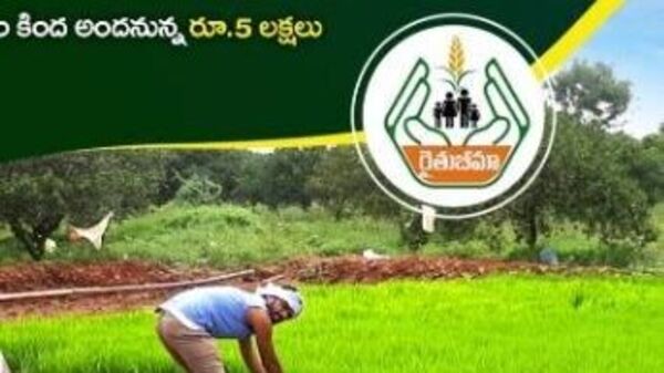 Rythu Bima Scheme : రైతులకు అలర్ట్... 'రైతుబీమా' దరఖాస్తుకు రేపే ఆఖరి రోజు