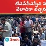 Unemployed students