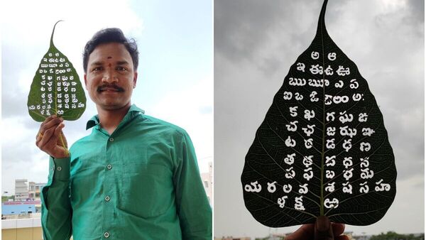 Telugu Language Day : రావి ఆకుపై తెలుగు అక్షరమాల, నారాయణఖేడ్ చిత్రకారుడి ప్రతిభ