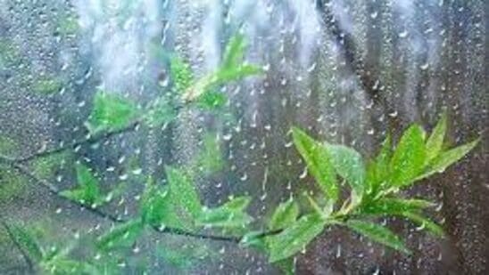 ఇవాళ్టి నుంచి మూడు రోజుల పాటు రాష్ట్రంలోని పలు జిల్లాల్లో మోస్తరు నుంచి భారీ వర్షాలు కురుస్తాయని హైదరాబాద్ వాతావరణ శాఖ వెల్లడించింది.పశ్చిమ-మధ్య బంగాళాఖాతంలో ఉపరితల ఆవర్తనం కొనసాగుతోందని...ఈ ప్రభావంతో వానలు పడుతాయని అంచనా వేసింది. ఇవాళ్టి నుంచి మూడు రోజుల పాటు రాష్ట్రంలోని పలు జిల్లాల్లో మోస్తరు నుంచి భారీ వర్షాలు కురుస్తాయని హైదరాబాద్ వాతావరణ శాఖ వెల్లడించింది.పశ్చిమ-మధ్య బంగాళాఖాతంలో ఉపరితల ఆవర్తనం కొనసాగుతోందని...ఈ ప్రభావంతో వానలు పడుతాయని అంచనా వేసింది.