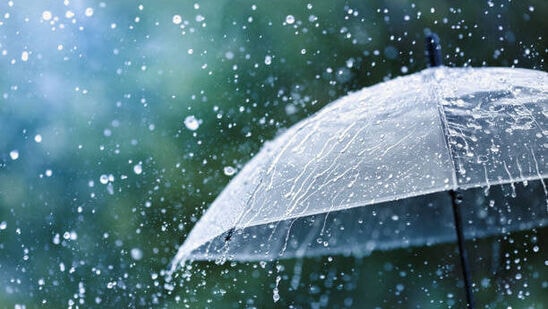 ఇవాళ, రేపు... ఆదిలాబాద్, ఆసిఫాబాద్, మంచిర్యాల, నిర్మల్, నిజామాబాద్, జగిత్యాల, రాజన్న సిరిసిల్ల, కరీంనగర్, పెద్దపల్లి, జయశంకర్ భూపాలపల్లి, ములుగు, వరంగల్, హన్మకొండ, జనగామ, సిద్దిపేట, వికారాబాద్, సంగారెడ్డి, మెదక్, కామారెడ్డి జిల్లాల్లో అక్కడక్కడ భారీ వర్షాలు కురుస్తాయని హెచ్చరించింది. ఆయా జిల్లాలకు ఎల్లో హెచ్చరికలు జారీ అయ్యాయి. ఇవాళ, రేపు... ఆదిలాబాద్, ఆసిఫాబాద్, మంచిర్యాల, నిర్మల్, నిజామాబాద్, జగిత్యాల, రాజన్న సిరిసిల్ల, కరీంనగర్, పెద్దపల్లి, జయశంకర్ భూపాలపల్లి, ములుగు, వరంగల్, హన్మకొండ, జనగామ, సిద్దిపేట, వికారాబాద్, సంగారెడ్డి, మెదక్, కామారెడ్డి జిల్లాల్లో అక్కడక్కడ భారీ వర్షాలు కురుస్తాయని హెచ్చరించింది. ఆయా జిల్లాలకు ఎల్లో హెచ్చరికలు జారీ అయ్యాయి.