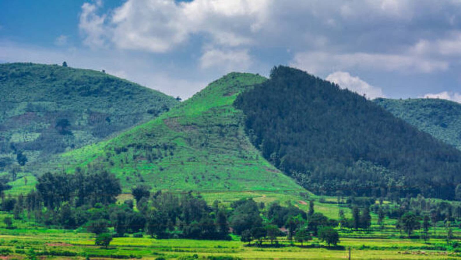 Araku Tribal Museum Ananthagiri | Cottage timings, history, images