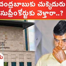 ap highcourt