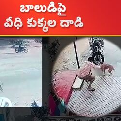 బాలుడిపై వీధి కుక్కల దాడి
