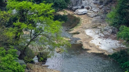 అరకు వ్యాలీకి చేరుకున్న తర్వాత... బస్సులో ప్రయాణం ఉంటుంది. ఇక్కడ ఉన్న ట్రైబల్ మ్యూజియంతో పాటు గార్డెన్స్ ను సందర్శిస్తారు. లంచ్ తర్వాత తిరిగి వైజాగ్ కు బయల్దేరుతారు. వచ్చే క్రమంలో అనంతగిరి కాఫీ ప్లాన్ టేషన్, గాలికొండ వ్యూ పాయింట్ కు వెళ్తారు. అనంతరం విశాఖ రైల్వే స్టేషన్ కు చేరుకోవటంతో ఒక్కరోజు టూర్ ముగుస్తుంది.