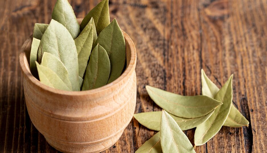 Bay leaf benefits బిర్యానీ ఆకుతో ఇన్ని ప్రయోజనాలా? తెలిస్తే రోజూ