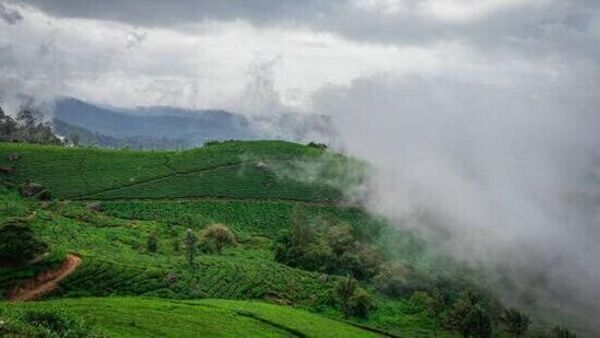 IRCTC Ooty Tour : తిరుపతి నుంచి ఊటీ టూర్... అతి తక్కువ ధరలోనే 6 రోజుల ప్యాకేజీ - పూర్తి వివరాలివే